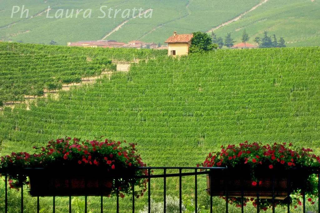 Agriturismo Cascina Sciulun (آگریتوریسمو كاسسینا سایولون) 