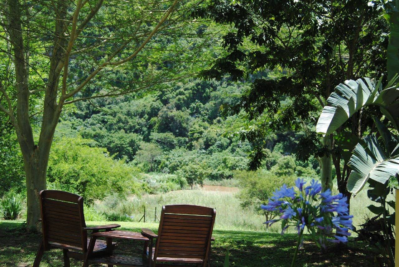 Wellvale Resort 