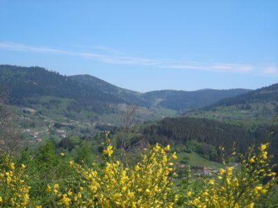 Chambres D'hÔtes Bellevue 