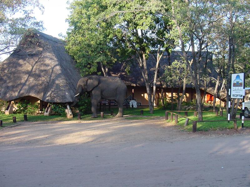 Lokuthula Lodges General view