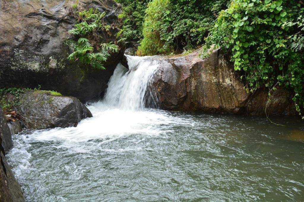 Stream Garden Mountain Resort 