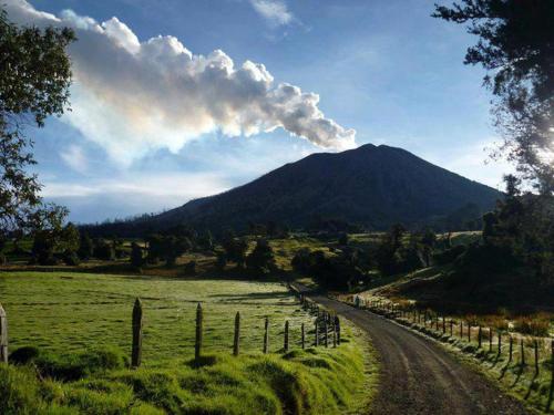 Hotel Wagelia Turrialba 