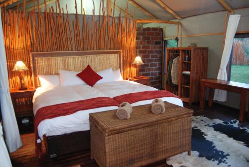 Camp Nkwazi 