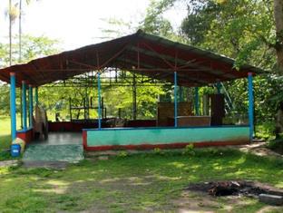 Deep Jungle Home 