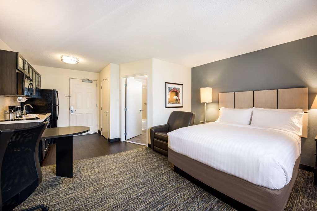Sonesta Simply Suites Dallas Las Colinas - photo 4