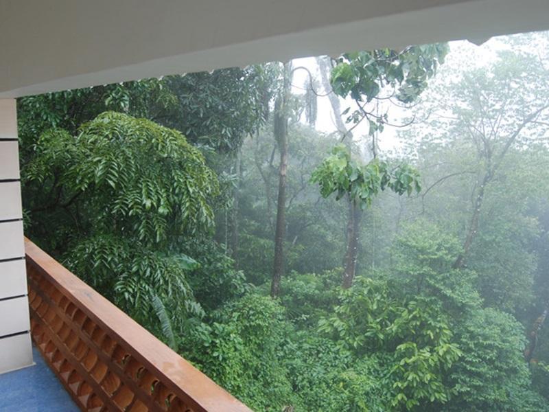 Magic Mist Resorts 