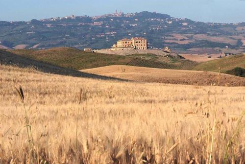 Podere Le Volpaie 