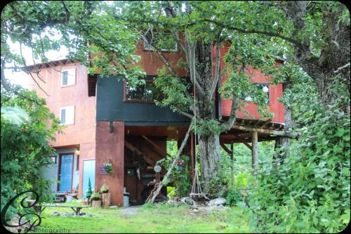 Book Cottonwood Cabins With Tajawal Book Now At Best Low Prices