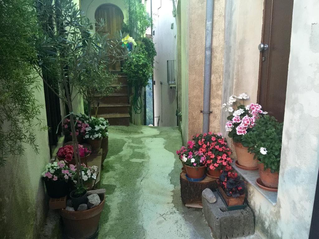 Casa Flora 