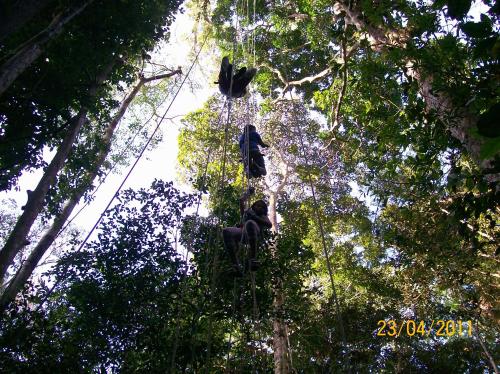 Hotel Heliconias 