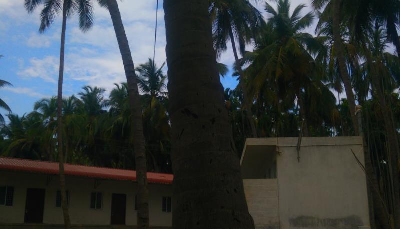 Cloud 9 Stays Mettupalayam 