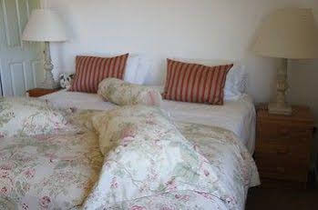 Bed Of Roses 