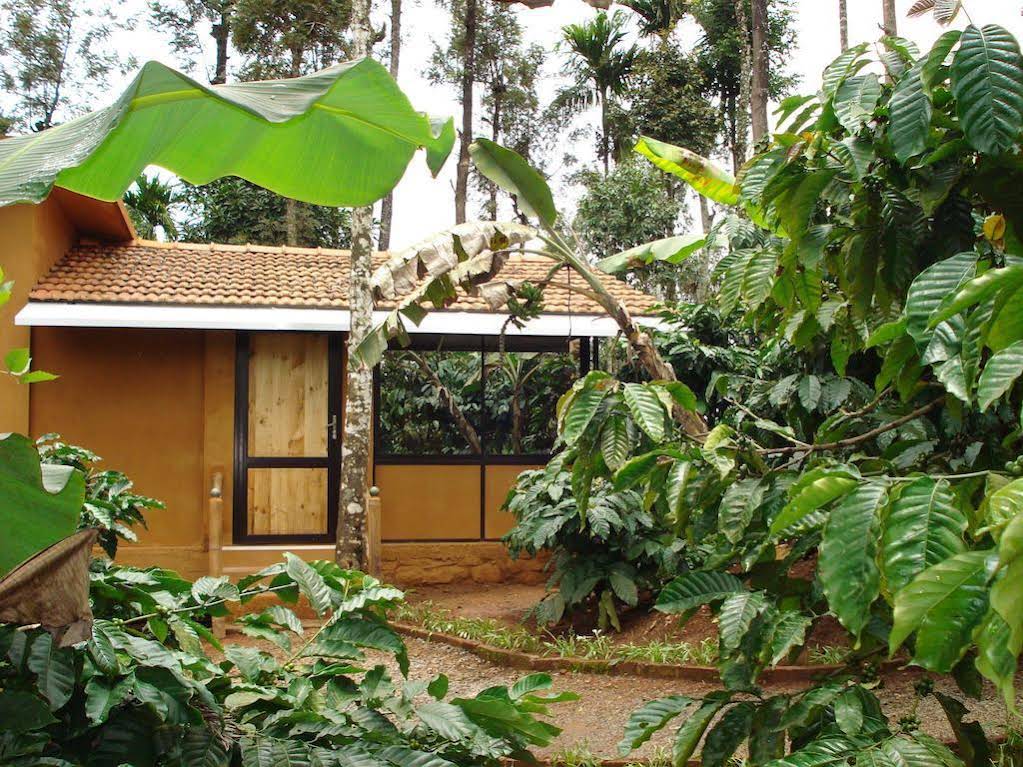 Greenex Farms 
