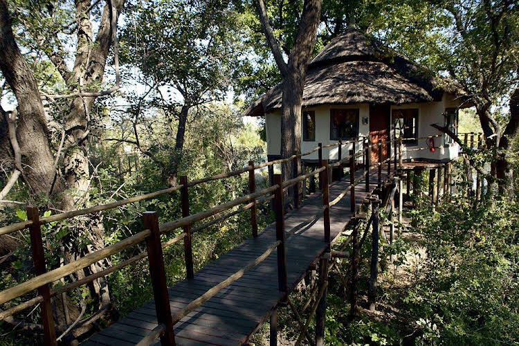 Sanctuary Sussi And Chuma 