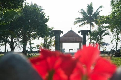 Purity At Lake Vembanad 