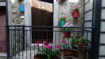 Il Vicoletto 