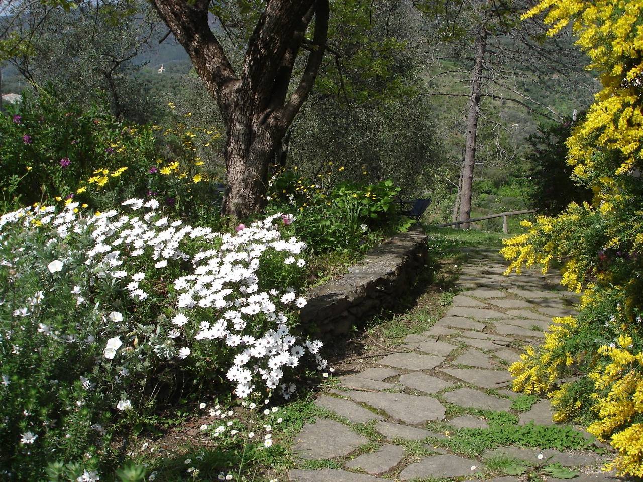 Agriturismo Villanova 