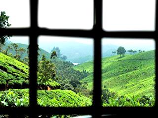 C7 Munnar 