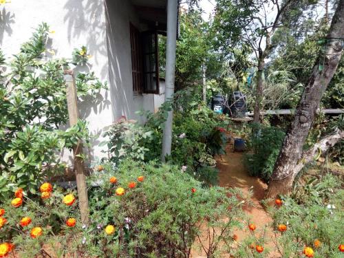 St.clair Holiday Home 