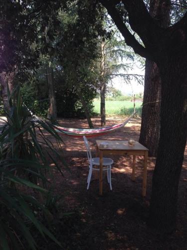 Podere Mandolino 