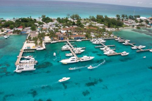 Bimini Big Game Club Resort & Marina (بیمینی بیگ گام كلوب ریزورت و مارینا) 