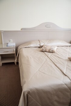 Rus Hotel Guestroom