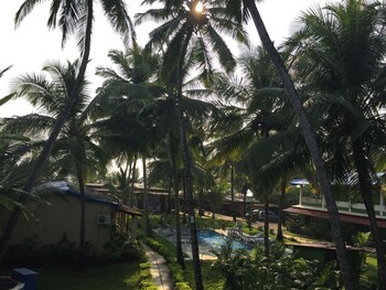 Morjim Coco Palms Resort Property Grounds