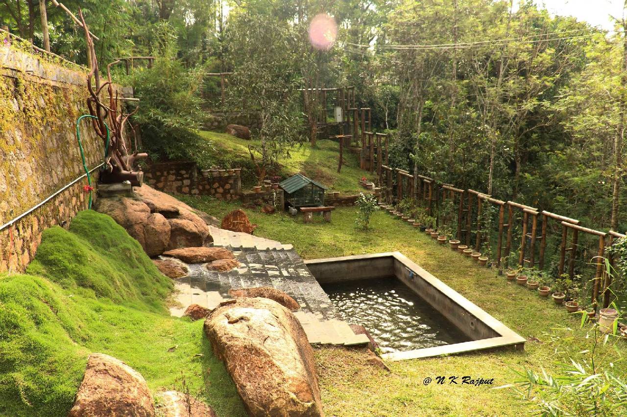Bamboo Dale 