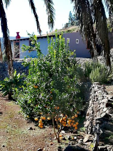Casa La MontaÑa 