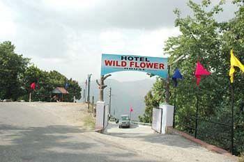 Wild Flower House 