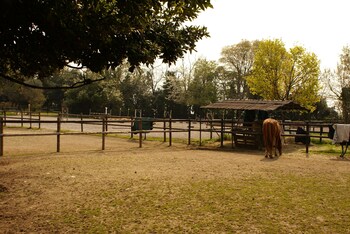 Barchi Resort Sports Facility