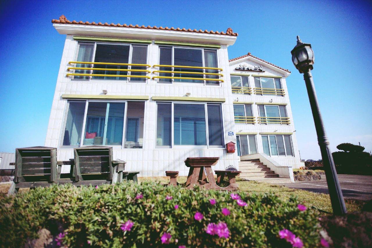 Book Sunset In Garden With Tajawal Book Now At Best Low Prices - 