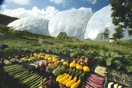 Juliots Well Cottages 