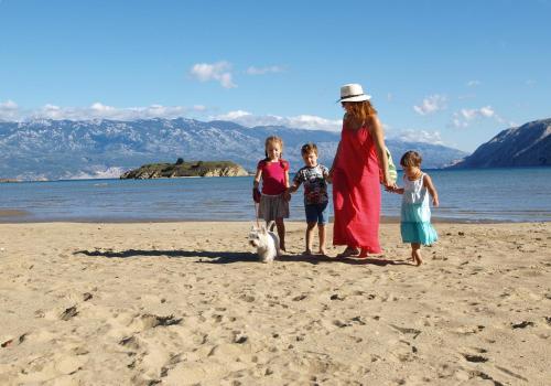 Apartments In Lopar Insel Rab 17771 