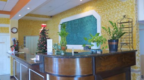 Great Value Inn Houston Galleria 
