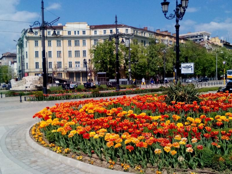 Alexander Business Apartments Terrace