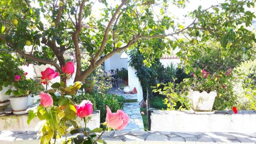 Garden Country House 