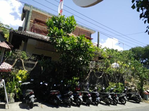 Dharma Yoga Homestay 