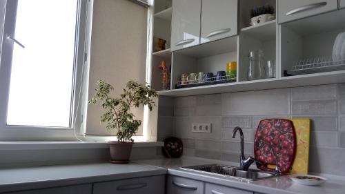 125 Shevchenko Lane Apt. 50 