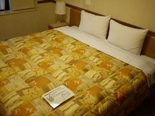 Toyoko Inn Tokyo Asakusa Senzoku Tsukuba Express (تویوكو این توكیو آساكوسا سنزوكو تسوكوبا اکسپرس) 