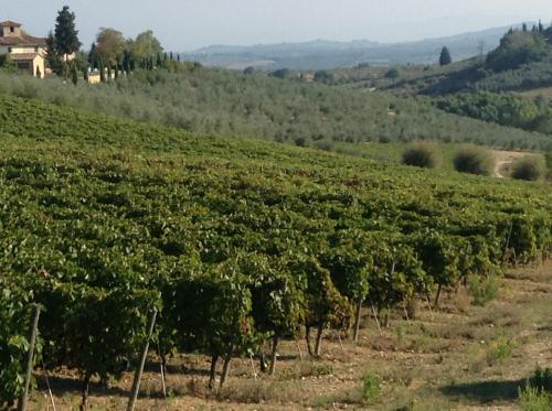Il Fienile Sotto L'arco 
