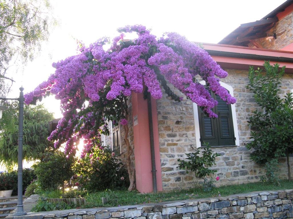 Agriturismo La Vigna 