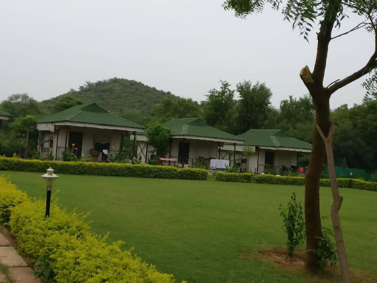 Sariska Tiger Heaven A Sterling Holidays Resort 