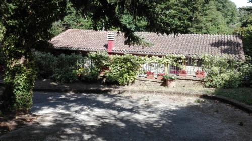 La Vecchia Mola 