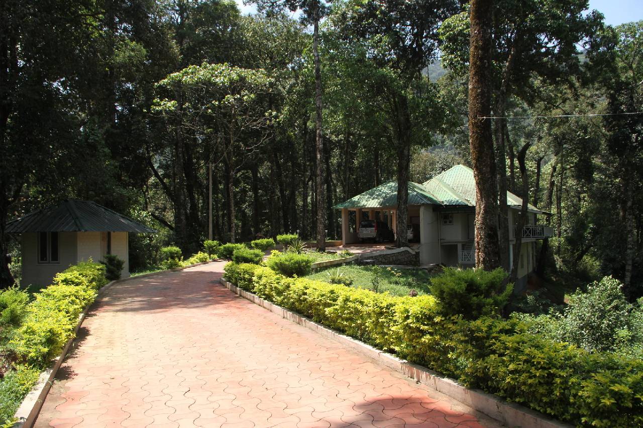 Deep Woods Resort 