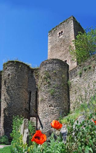 Chambre D'hôtes Au Château De Belcastel 