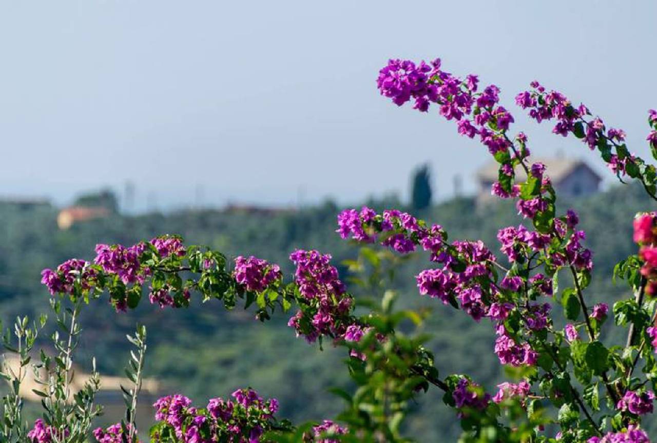 Hintown Villa Rosa 6 Posti Vista Mare 