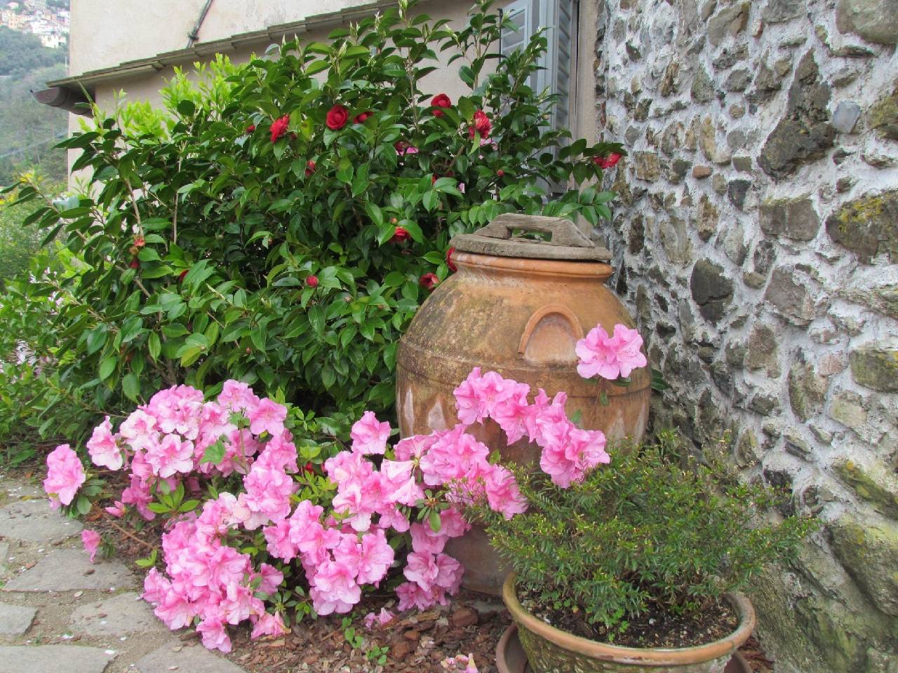 Agriturismo Villanova 