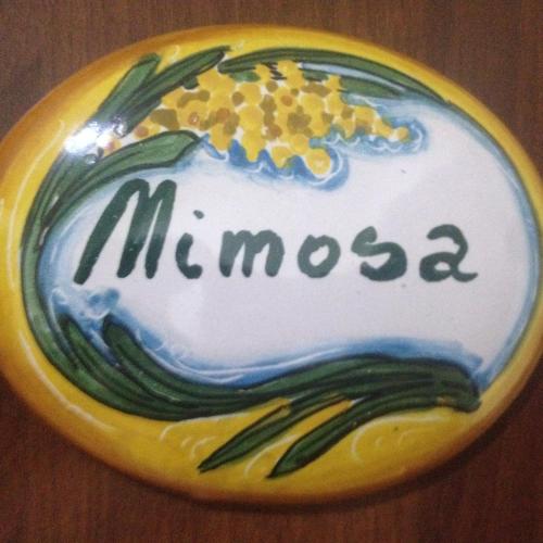 Il Giardino Di Adriana B&b (ایل جیاردینو دی آدریانا ب&ب) 