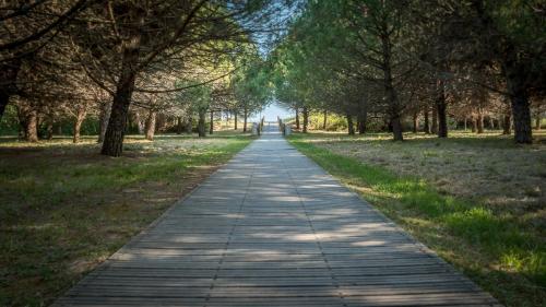 Bosco Canoro East Bibione Eco Resort 